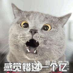 2018年最后一个月：往事不回头，余生不将就！西安绿色环保整装！