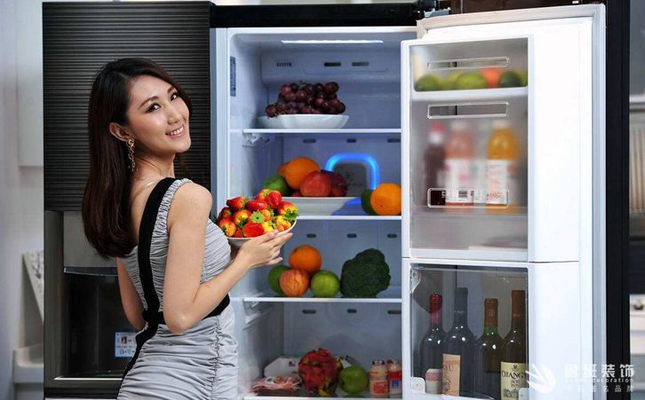 哪个品牌的冰箱质量好，购买冰箱需要注意什么2